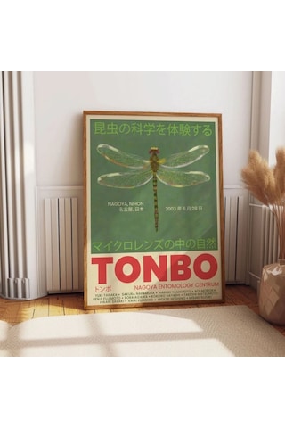 Tonbo Yusufçuk Dragonfly Delight Classy Şans Poster Çerçevesiz