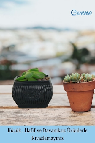 Mini Çiçek Saksı Küçük Sukulent Kaktüs Saksısı 3'lü Set Mini Çizgili Çiçekli Model - Siyah