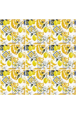 Can Seramik – 10x10 Cm. Cç-107 Kütahya Çini Karo 5'li 1 Paket