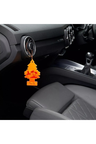 Car Freshner Asma Koku 12'li Kokteyl