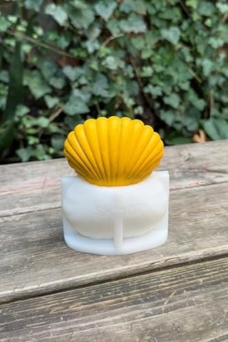 Büyük Deniz Kabuğu 3d Mum Kalıbı Silikon
