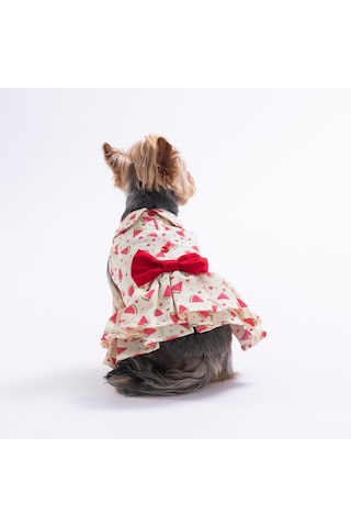Berry Crush Meyve Desenli Kedi Köpek Elbisesi - Kedi Köpek Kıyafeti