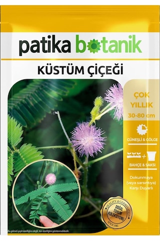 50 Adet Küstüm Çiçeği Tohumu