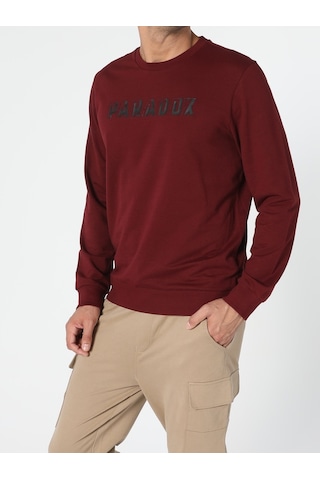 Colin's Regular Fit Kabartmalı Yazı Turuncu Erkek Sweatshirt cl1055790_Q1.V2_COR Kahverengi
