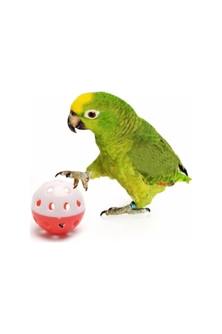 Ozzipetshop Papağan Oyun Topu - 5 Adet Zilli Kuş Oyuncak Seti / Renkli Ve Eğlenceli