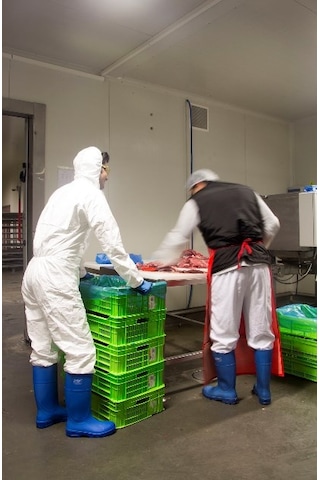 Pollyboot Alfa Iş Güvenlik Çizmesi