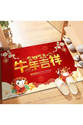 Suntek Dayanıklı Paspas Kaymaz Ayakkabı Kazıyıcı 16x24 Model 6