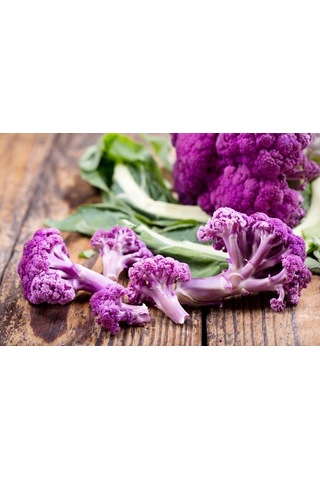 Sicilya Mor Karnabahar Tohumu