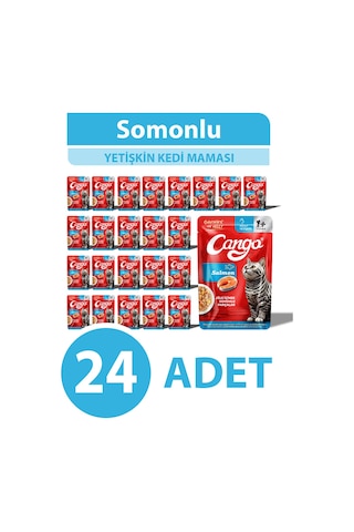 Cango Yaş Yetişkin Kedi Maması Somonlu 80 Gr 24 Adet