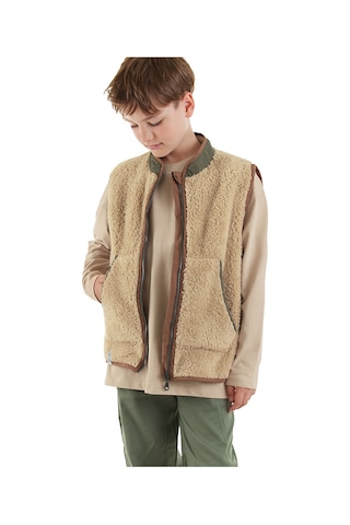 Denokids Erkek Çocuk Kahverengi Peluş Yelek Renkli