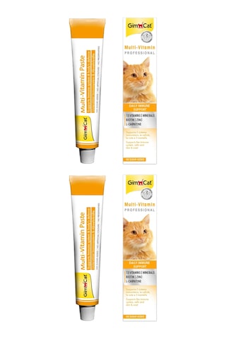 Gimcat Multi-Vitamin Kedi Macunu 2 x 20 G