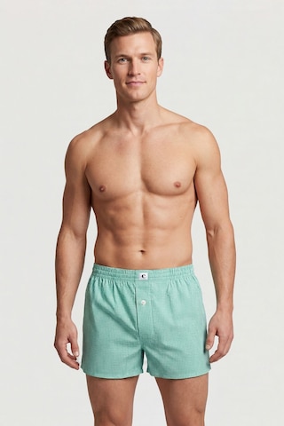 Cacharel Poplin Boxer Erkek 1113/kareli Yeşil