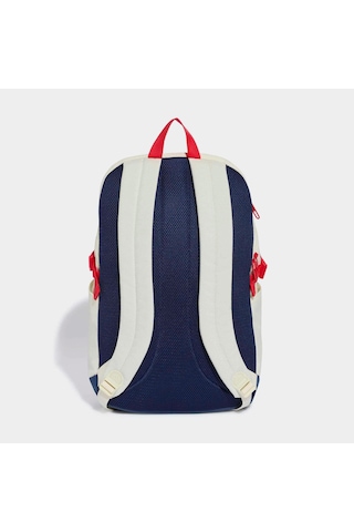 Adidas Apwr Vııı Sırt Çantası Kq6793 Çok Renkli