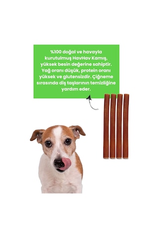 Havhav 4 Adet Sığır Kamış Çiğneme Çubuğu Köpek Ödülü
