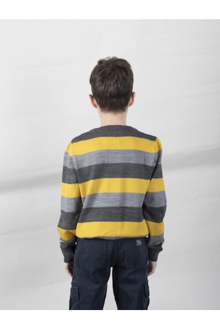 Alexandergardi Çizgili Erkek Çocuk Kazak Cck - 22 - 18937 001