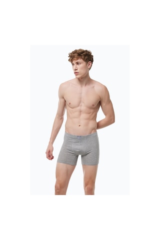 Malabadi Erkek Gri Premium Collection Modal Uzun Boxer 250 Gri