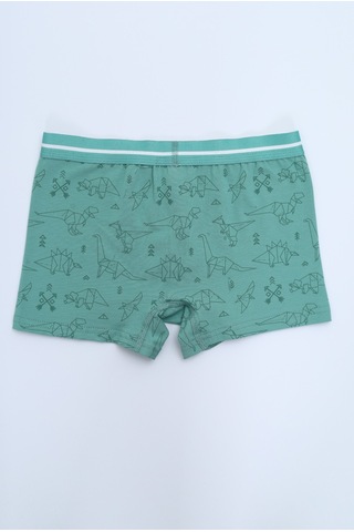 Toontoy Erkek Çocuk Hayvan Figürlü 4lü Paket Boxer Çok Renkli