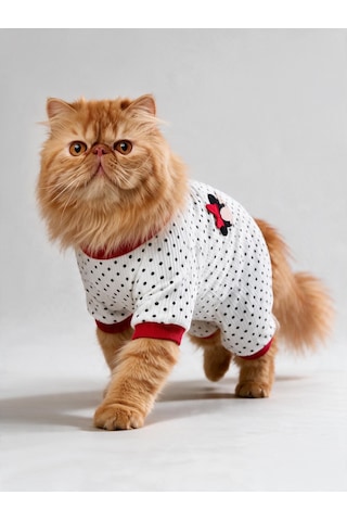 Polka Dot Rouge Minny Kedi Tulumu Siyah Beyaz Puantiyeli Penye Kedi Pijaması
