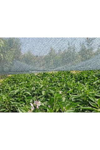 Morilu Gölgelik File - Çit Filesi - 40'Lık Şeritli Halkalı - Yeşil - Gölgelik Tente - Yeşil File - Balkon Filesi