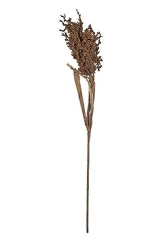 Pampus Çim Koyu Dekor 86 Cm Doğal Çok Renkli
