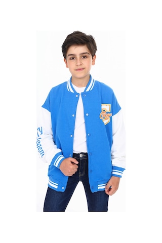 Toontoy Kids Toontoy Erkek Çocuk Baskılı Kolej Hırka Saks