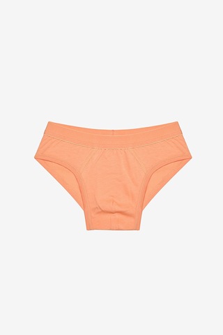 Penti Erkek Çocuk Blue Solid 3lü Çok Renkli Slip Külot Açık Gri