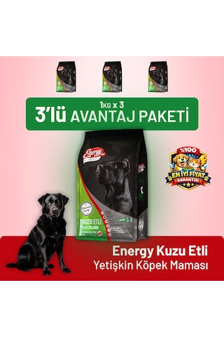 Dog Food Energy Kuzu Etli Yetişkin Köpek Maması - 3 Adet