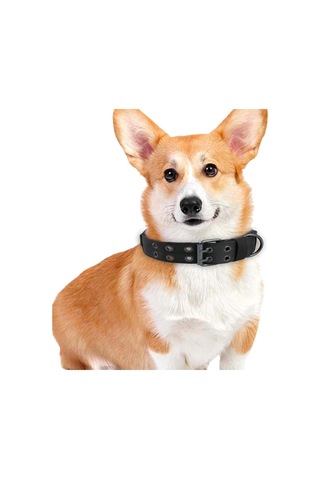 Homyl Metal Tokalı Köpek Tasması Evcil Hayvan Eğitim Yaka Siyah