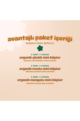 Organik Glutensiz Vegan Muz Çilek Ve Mango Mini Küpler Atıştırmalık Paketi - 6 Adet 3 Çeşit 180 G