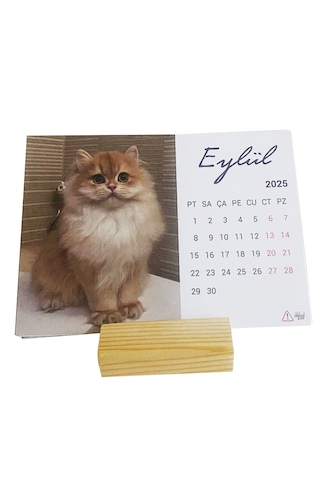 Hayvan Severler İçin 2025 Kedi Takvimi