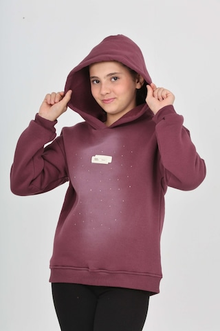 Toontoy Kız Çocuk Taş Dizaynlı Sweatshırt Mor