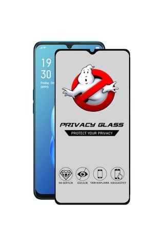 Oppo A91 Tam Kaplayan Gizli Hayalet Temperli Ekran Koruyucu Cam