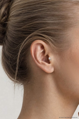 Yavru Kedi 18 Ayar Beyaz Altın Kaplama Gümüş Tragus-helix Piercing