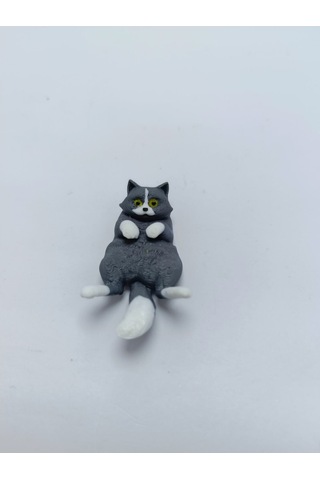 Miskin Gri Kedi Magnet