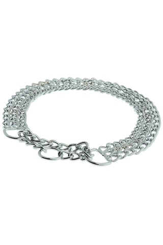 Homyl Pet Köpek Zinciri Tasması Eğitimi Için Büyük Fildişi