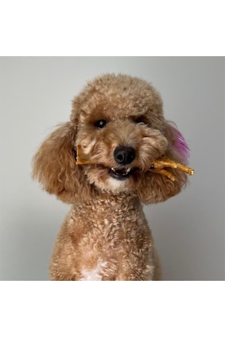 Kito Horoz Ayak Yetişkin Köpek Ödül Maması 100 G