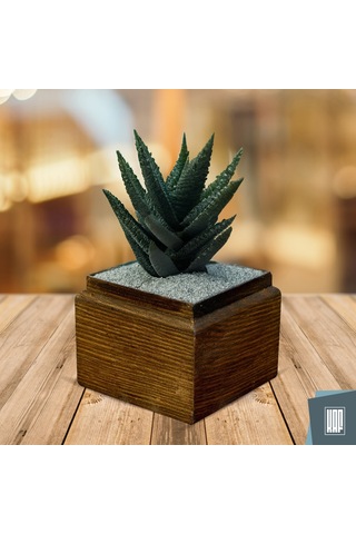 Kaf Ahşap Dekoratif Mini Saksı / Küp / Kahverengi