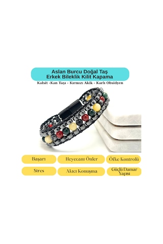 Sertifikalı Aslan Burcu Disk Model Doğal Taş Erkek Bileklik Mıknatıslı Kilit Çok Renkli