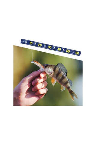 Homyl Balık Ölçme Aracı 51.18 '' Tekne Yelkenliler Koyu-mavi