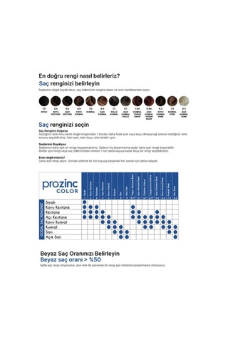 Prozinc Color Saç Boyası 1.0