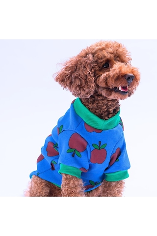 Apple Kaşkorse Elma Desenli Sweat Kedi Köpek Sweat Kedi Köpek Kıyafeti