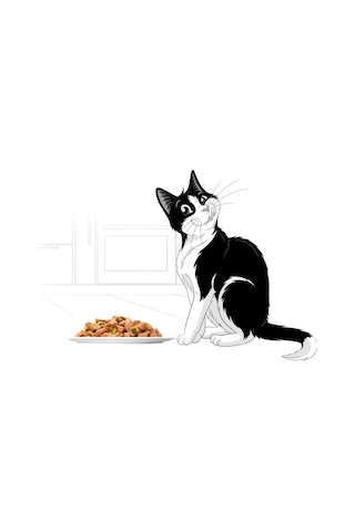 Agail Sığır Etli Kedi Pouch 85gr 20'li