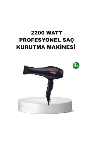 Profesyonel Saç Kurutma Makinesi Ac Motor Soğuk Üfleme 2 Hız Ka