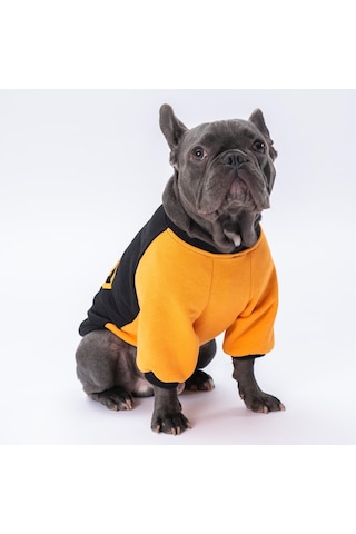 Pettrend Batman Baskılı Polar Kedi Köpek Sweati Kedi Köpek Elbisesi