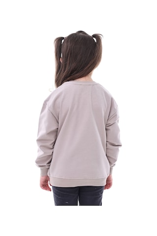 Zuzunga Basic Düz Renk Vizon Fırçalı Yumuşak Pamuk Sweatshirt