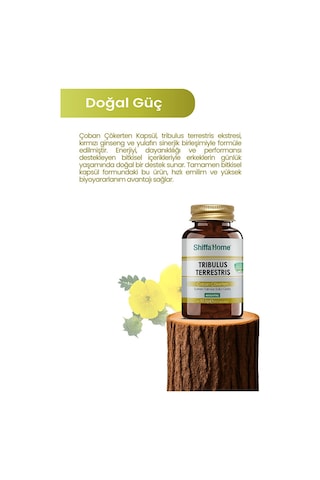 Tribulus Terrestiris Çoban Çökerten 60 Kapsül
