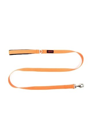 Tailpetz Match Leash Köpek Gezdirme Kayışı Neo-turuncu Medium Açık Mavi