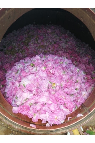 Gülköylü Yağı Alınmamış Isparta Gül Suyu 1 L