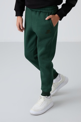 Tommylife Çam Yeşil Pamuklu Kalın İçi Tüylü Standart Fit Nakışlı Erkek Çocuk Eşofman Alt - 11224 Çam Yeşili