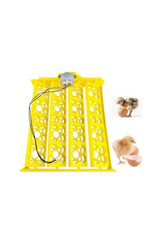 Pazly Yumurta Tavuk Suntek Kuluçka Kaz Için Dc12v Bıldırcın Qz